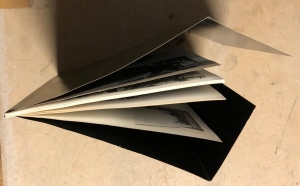 WMS 70 YrBk Top Down