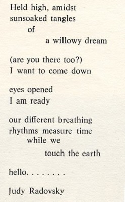 Poem by Judy Radovsky