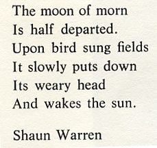 Poem by Shaun Warren 2