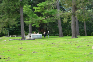 Back-Lawn-18
